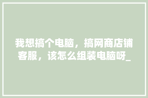 我想搞个电脑，搞网商店铺客服，该怎么组装电脑呀_店铺客服电脑配置怎么看