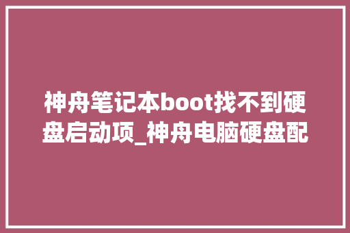 神舟笔记本boot找不到硬盘启动项_神舟电脑硬盘配置怎么看的