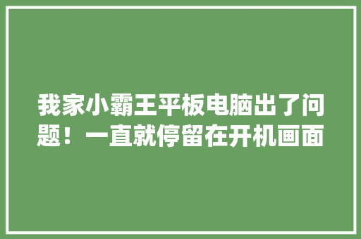 我家小霸王平板电脑出了问题！一直就停留在开机画面_小霸王学生电脑