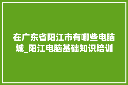 在广东省阳江市有哪些电脑城_阳江电脑基础知识培训班