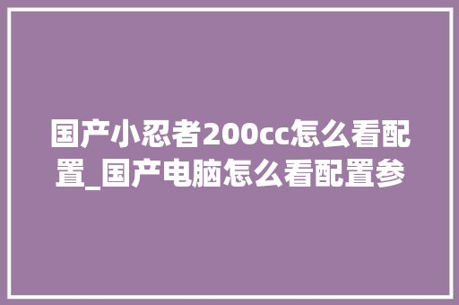 国产小忍者200cc怎么看配置_国产电脑怎么看配置参数