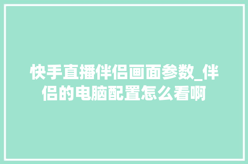 快手直播伴侣画面参数_伴侣的电脑配置怎么看啊