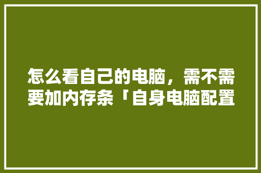 怎么看自己的电脑，需不需要加内存条「自身电脑配置怎么看的」 怎么看自己的电脑，需不需要加内存条「自身电脑配置怎么看的」 编程语言
