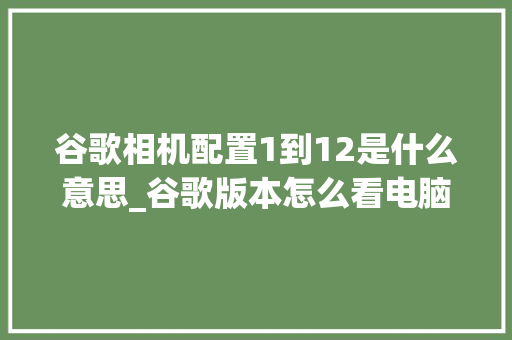 谷歌相机配置1到12是什么意思_谷歌版本怎么看电脑配置参数 谷歌相机配置1到12是什么意思_谷歌版本怎么看电脑配置参数