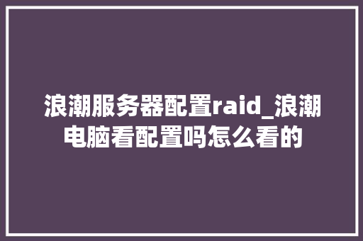 浪潮服务器配置raid_浪潮电脑看配置吗怎么看的