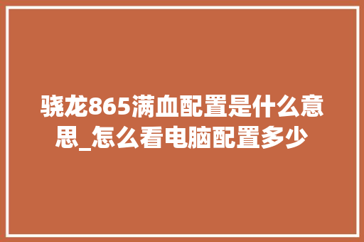 骁龙865满血配置是什么意思_怎么看电脑配置多少