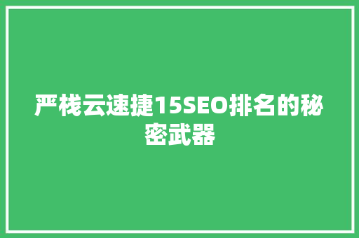 严栈云速捷15SEO排名的秘密武器 电脑配置