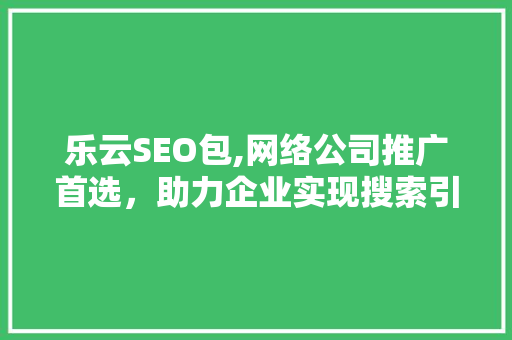 乐云SEO包,网络公司推广首选，助力企业实现搜索引擎优化满意目标