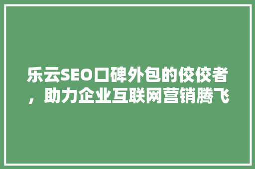 乐云SEO口碑外包的佼佼者，助力企业互联网营销腾飞