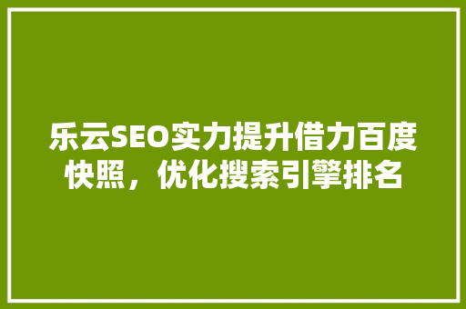 乐云SEO实力提升借力百度快照，优化搜索引擎排名 网络技术