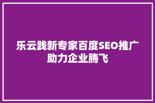 乐云践新专家百度SEO推广助力企业腾飞