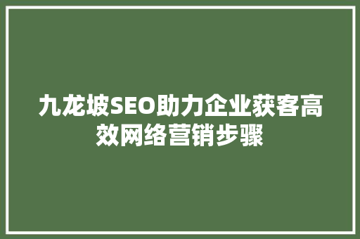 九龙坡SEO助力企业获客高效网络营销步骤