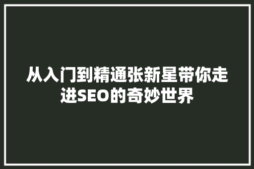 从入门到精通张新星带你走进SEO的奇妙世界