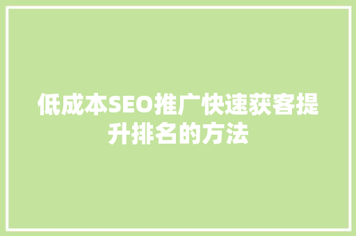 低成本SEO推广快速获客提升排名的方法 低成本SEO推广快速获客提升排名的方法
