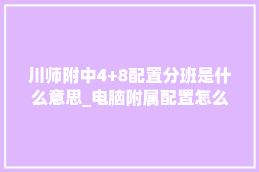 川师附中4+8配置分班是什么意思_电脑附属配置怎么看型号