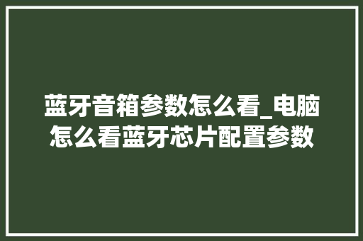 蓝牙音箱参数怎么看_电脑怎么看蓝牙芯片配置参数