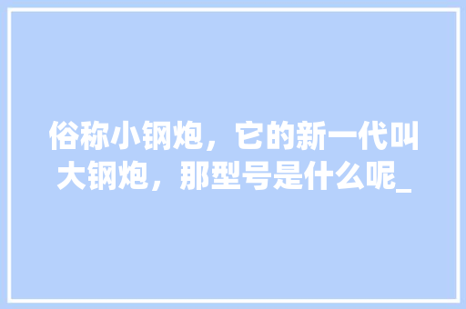 俗称小钢炮，它的新一代叫大钢炮，那型号是什么呢_电脑钢炮配置怎么看型号的