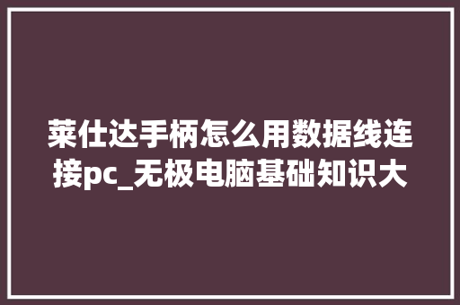 莱仕达手柄怎么用数据线连接pc_无极电脑基础知识大全