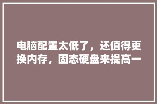 电脑配置太低了，还值得更换内存，固态硬盘来提高一下打开表格和、软件、网页的速度么_电脑怎么看配置硬盘信息