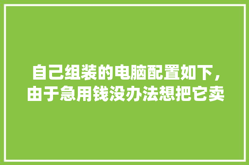 自己组装的电脑配置如下，由于急用钱没办法想把它卖了请问现在出手大概可以卖多少钱_电脑怎么看配置估价多少钱