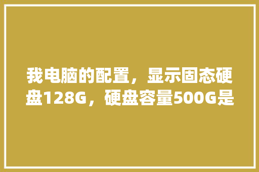 我电脑的配置，显示固态硬盘128G，硬盘容量500G是什么意思？谢谢_电脑固态配置怎么看型号