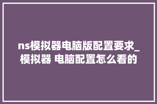 ns模拟器电脑版配置要求_模拟器 电脑配置怎么看的