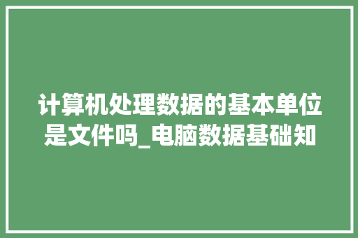 计算机处理数据的基本单位是文件吗_电脑数据基础知识有哪些