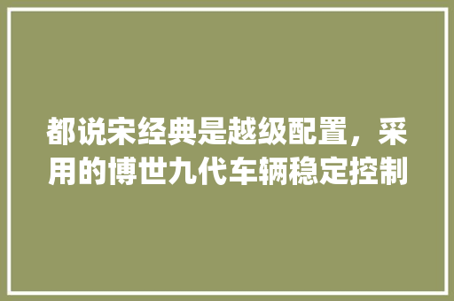 都说宋经典是越级配置，采用的博世九代车辆稳定控制系统是什么_电脑越级配置怎么看型号