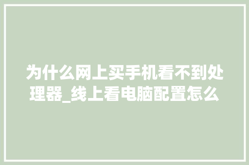 为什么网上买手机看不到处理器_线上看电脑配置怎么看的出来