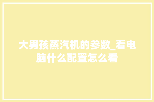 大男孩蒸汽机的参数_看电脑什么配置怎么看