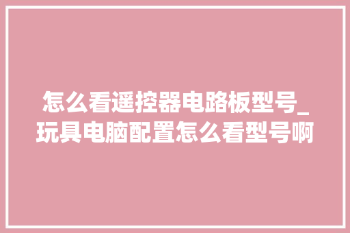怎么看遥控器电路板型号_玩具电脑配置怎么看型号啊