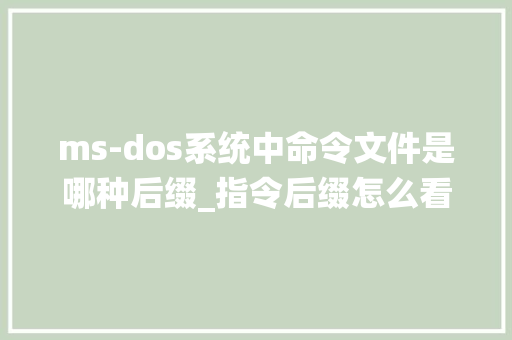 ms-dos系统中命令文件是哪种后缀_指令后缀怎么看电脑配置参数
