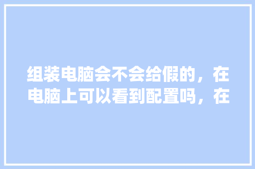 组装电脑会不会给假的，在电脑上可以看到配置吗，在电脑上看到的都是真的吗_电脑配置组装电脑怎么看型号