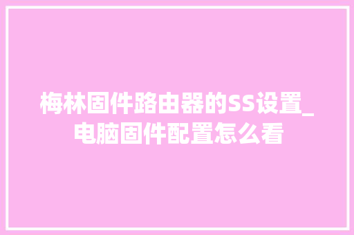梅林固件路由器的SS设置_电脑固件配置怎么看