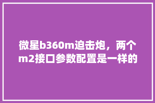 微星b360m迫击炮，两个m2接口参数配置是一样的吗_电脑接口参数配置怎么看的