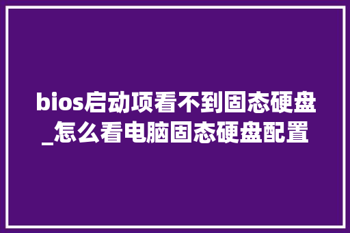 bios启动项看不到固态硬盘_怎么看电脑固态硬盘配置参数