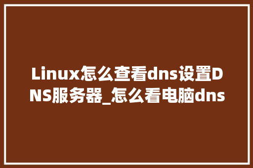 Linux怎么查看dns设置DNS服务器_怎么看电脑dns配置高低 网络技术