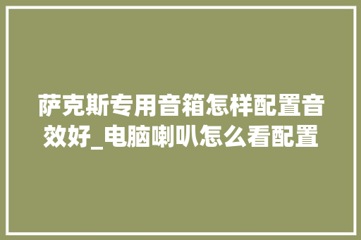萨克斯专用音箱怎样配置音效好_电脑喇叭怎么看配置参数