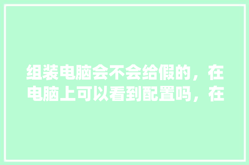 组装电脑会不会给假的，在电脑上可以看到配置吗，在电脑上看到的都是真的吗_组装电脑怎么看电脑配置和型号