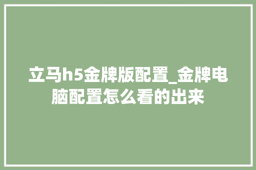 立马h5金牌版配置_金牌电脑配置怎么看的出来
