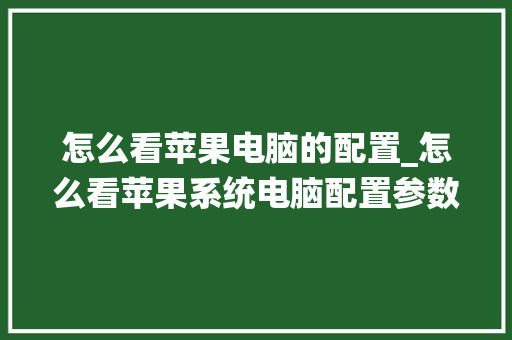 怎么看苹果电脑的配置_怎么看苹果系统电脑配置参数 网络技术