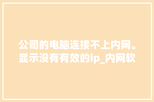 公司的电脑连接不上内网。显示没有有效的ip_内网软件电脑配置怎么看的