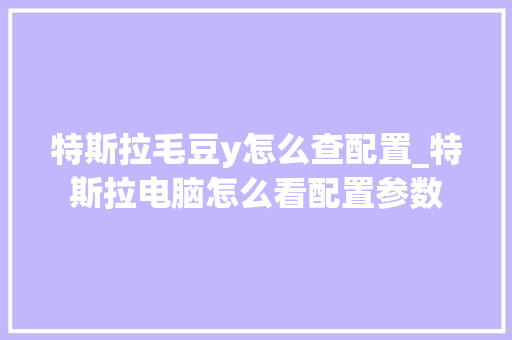 特斯拉毛豆y怎么查配置_特斯拉电脑怎么看配置参数