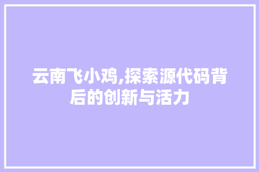 云南飞小鸡,探索源代码背后的创新与活力 云南飞小鸡,探索源代码背后的创新与活力 操作系统
