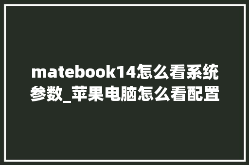 matebook14怎么看系统参数_苹果电脑怎么看配置参数图片 电脑故障维修