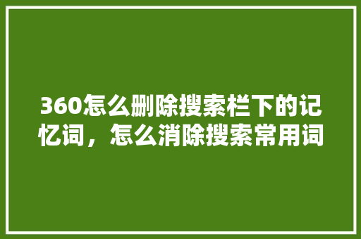 360怎么删除搜索栏下的记忆词，怎么消除搜索常用词