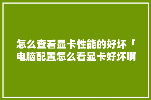 怎么查看显卡性能的好坏「电脑配置怎么看显卡好坏啊」 怎么查看显卡性能的好坏「电脑配置怎么看显卡好坏啊」 编程语言
