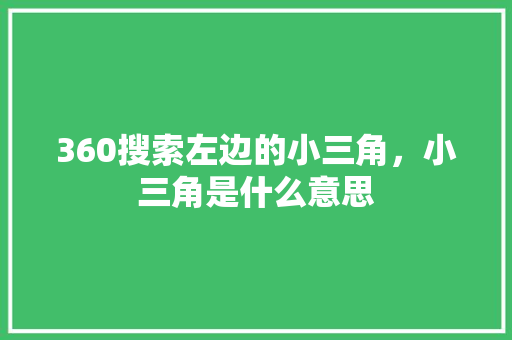 360搜索左边的小三角，小三角是什么意思