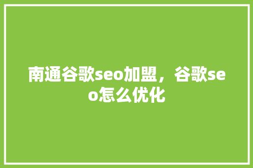 南通谷歌seo加盟，谷歌seo怎么优化