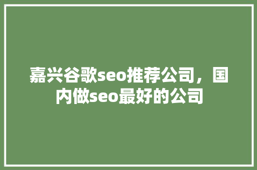 嘉兴谷歌seo推荐公司，国内做seo最好的公司 操作系统